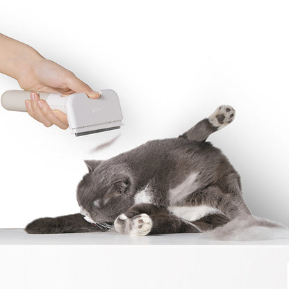 Pet Comb Cat Dog Hair Removal Comb Hair Removal
