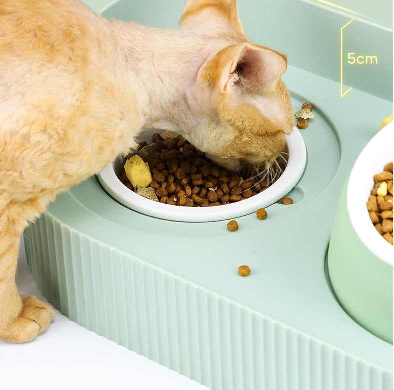 Pet Cat Bowl Ceramic Food Bowl Protect Cervical